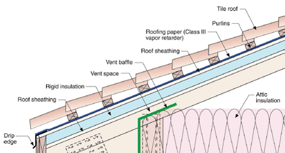 P1286#yIS1 P1286#yIS1
